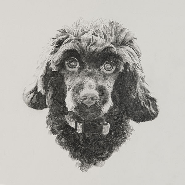 Winnie Dog Illustration SM by Harv Craven