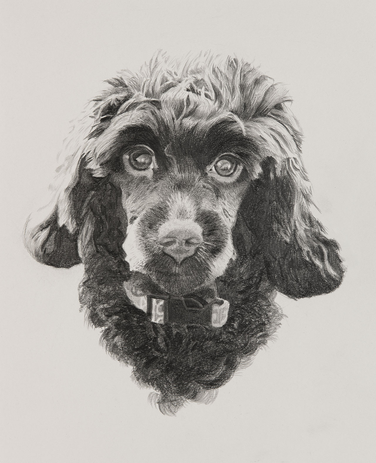 Winnie Dog Illustration by Harv Craven
