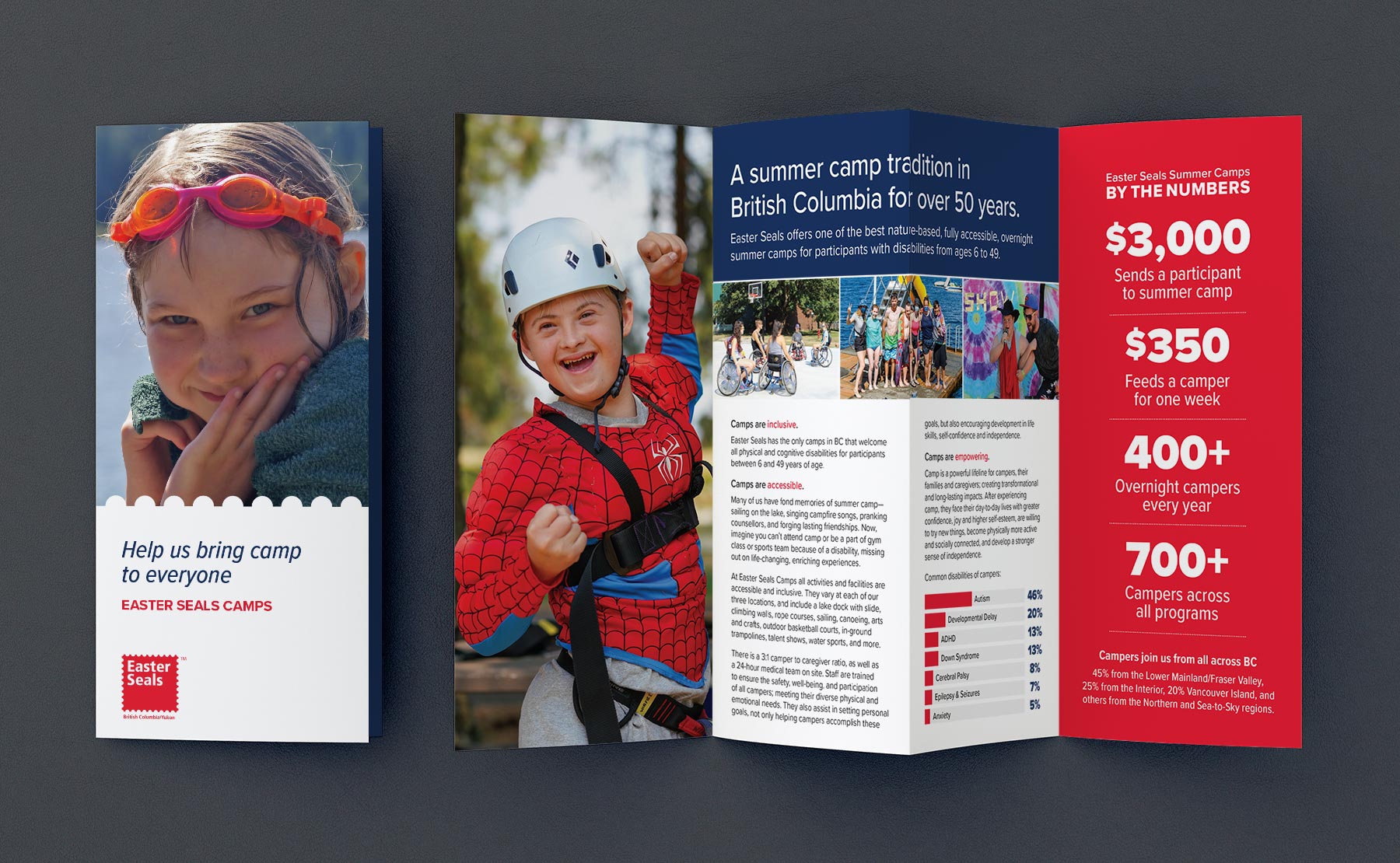 Easter Seals Four Panel Brochure